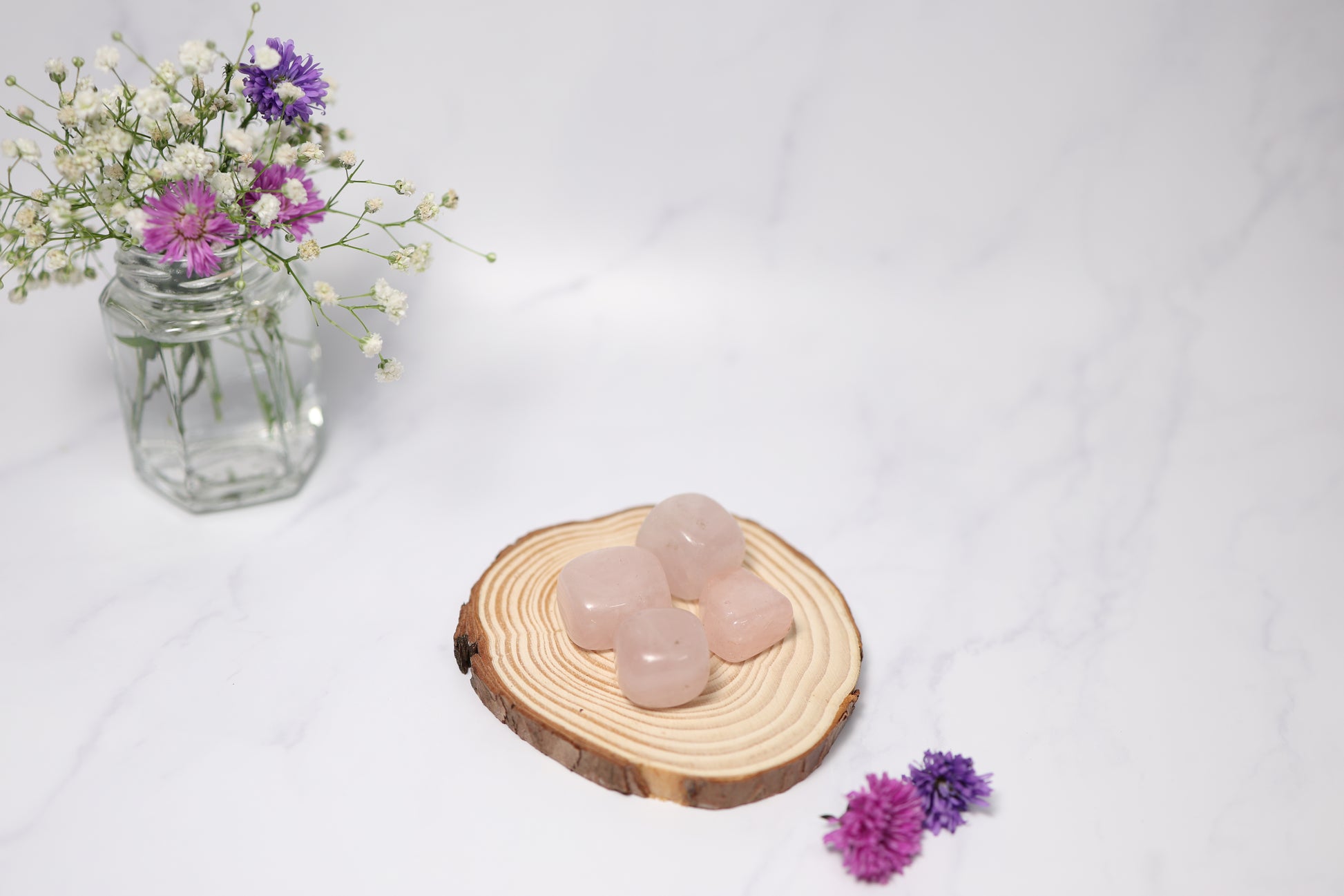 Rose Quartz Tumbles (5 pcs.)